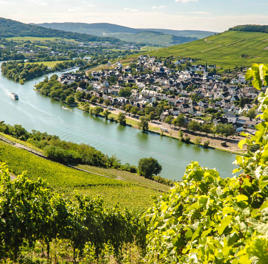 CRUCEROS RIN CRUCEROS ALEMANIA CRUCERO CASTILLOS DEL RIN CRUCEROS FLUVIALES RIN CRUCEROS POR RIO CRUCEROS EUROPA RHINE CRUISES MOSELA #Rin #CrucerosRin #CastillosDelRin #CruceroCastillosDelRin #CrucerosRudesheim #Rudesheim #CrucerosFluviales #Creuers #Bidaiak